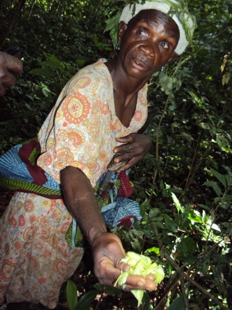 Uganda-19-019-Dingolo, a Mutwa elder, shows the group a medicinal herb from the forest-Credit FFI_P Wairagala